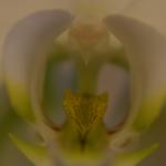 _DSC0001 (2)