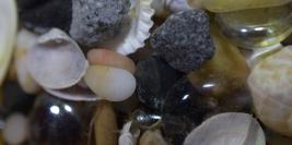 Macro