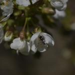 _DSC0068