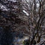 _DSC0001 (2)