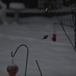 _DSC0062